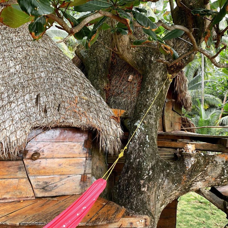 Ensuenos Natural Reserve Little Corn Island Nicaragua Dış mekan fotoğraf