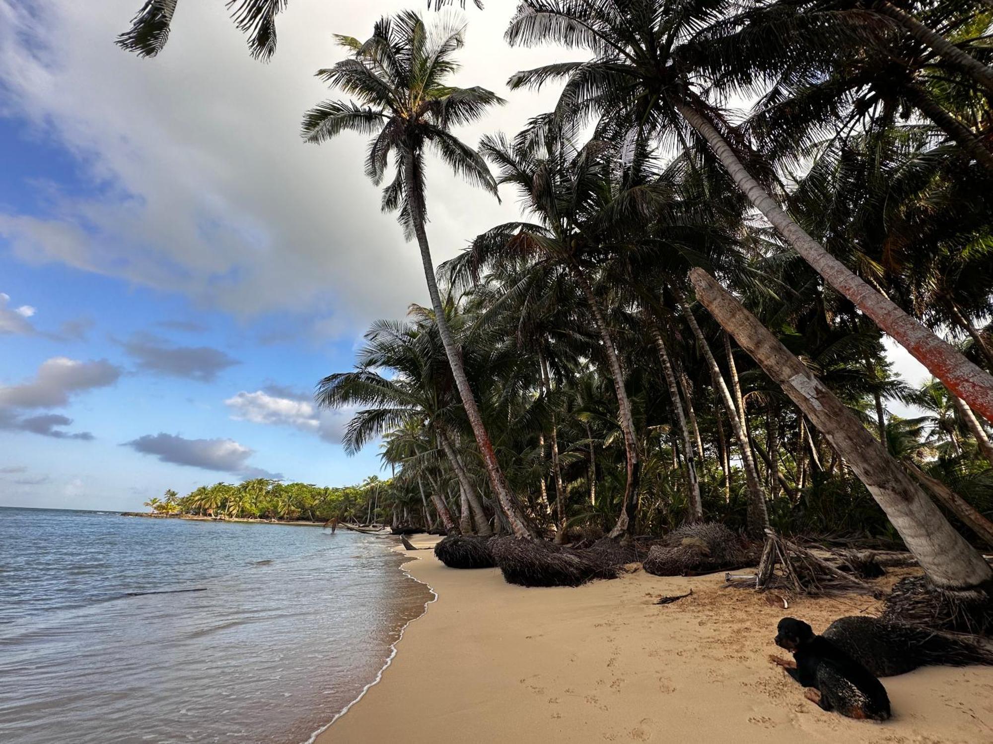 Ensuenos Natural Reserve Little Corn Island Nicaragua Dış mekan fotoğraf